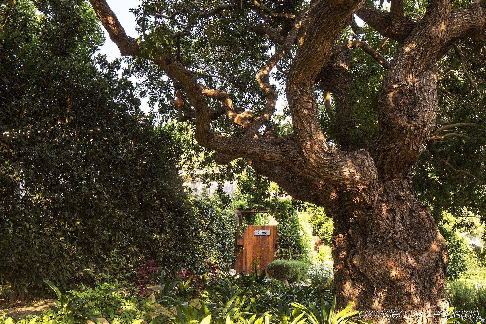 San Ysidro Ranch Hotel Montecito Exterior photo